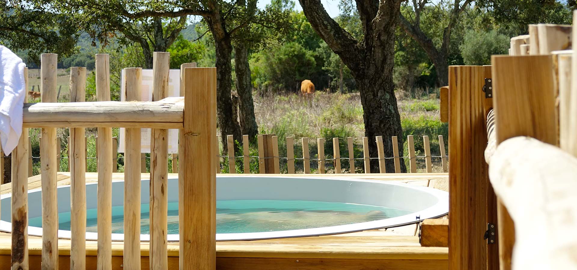 Camping porto vecchio bungalow 600 bain de detente vache